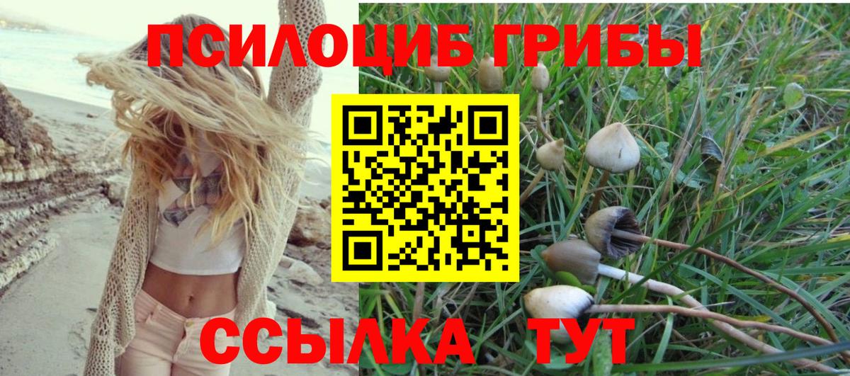 Псилоцибиновые грибы Cubensis  Вход с VPN  Нефтекамск  Псилоцибиновые грибы Psilocybe 