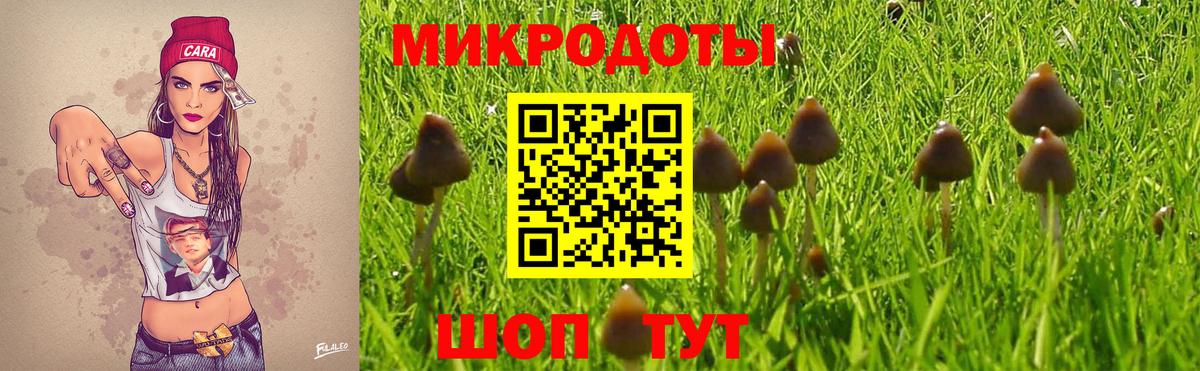 Псилоцибиновые грибы Psilocybine cubensis Нефтекамск